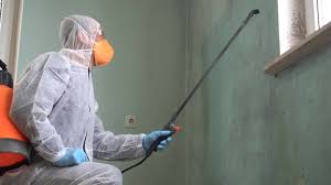 Best Comprehensive Air Testing for Mold Contaminants  in Georgetown, KY